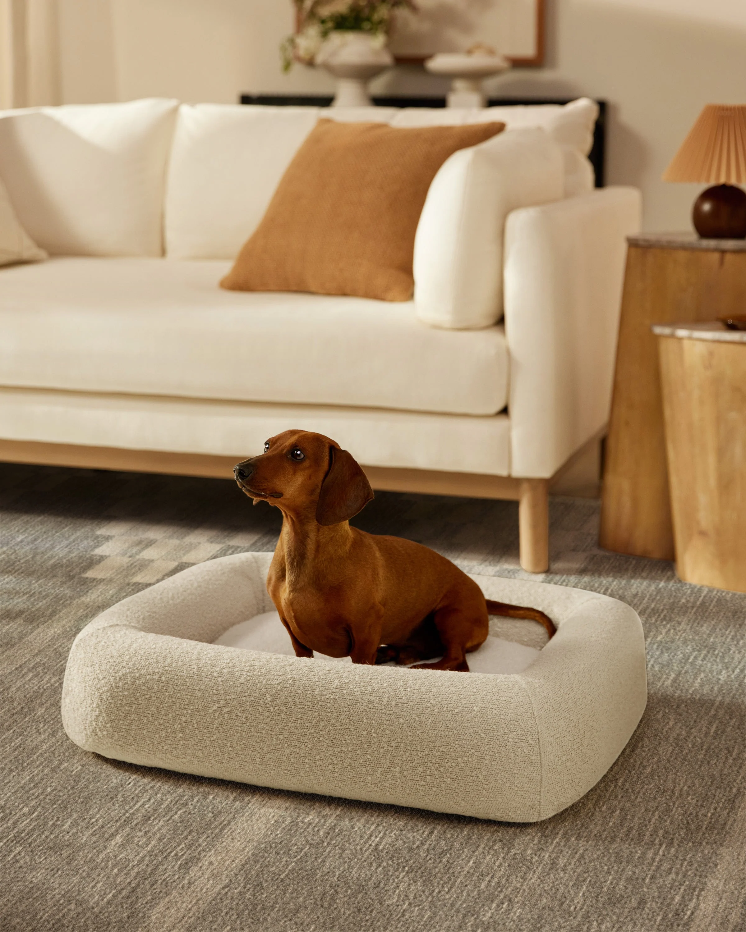 Cream Boucle Bolster Pet Bed - Image 5