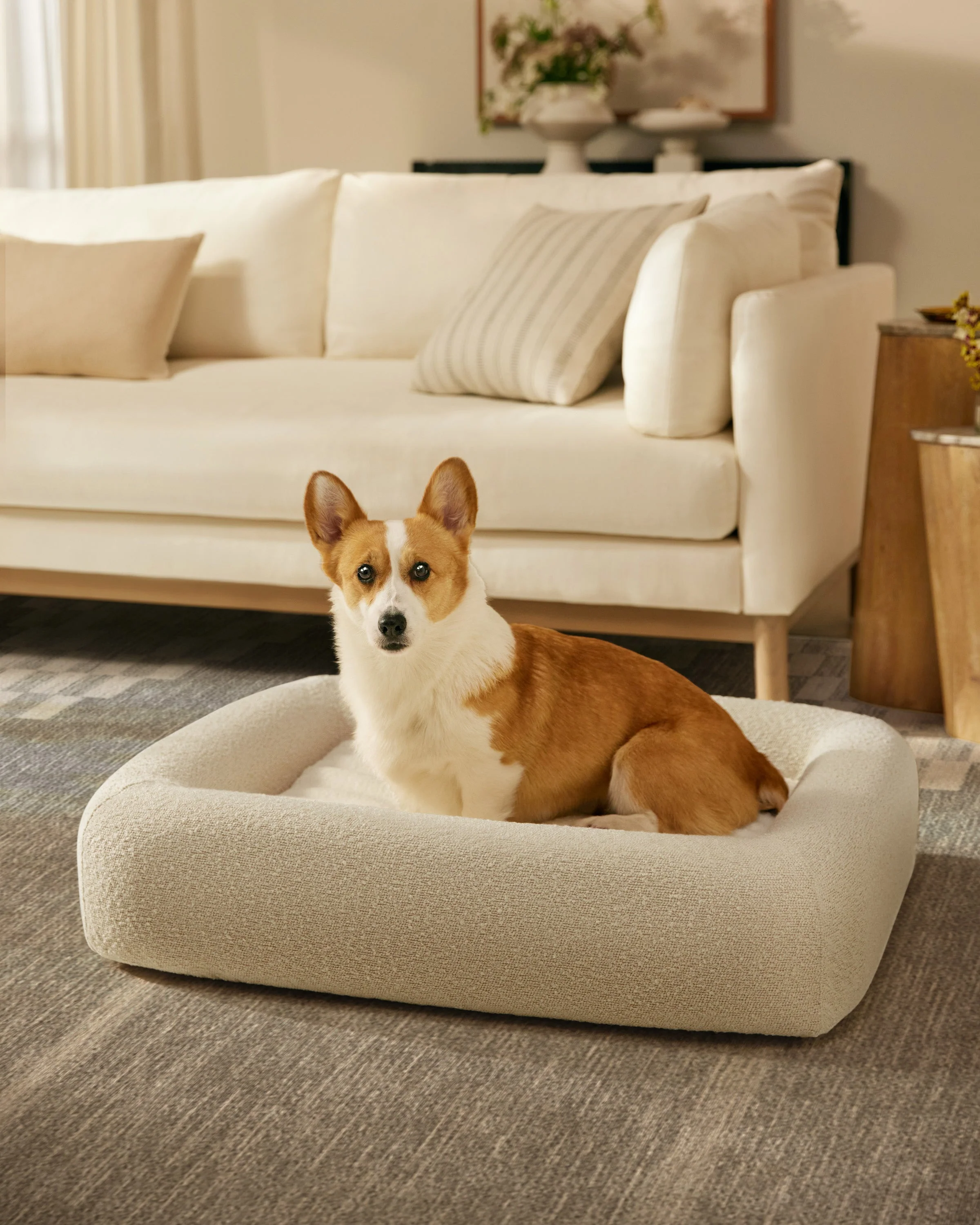 Cream Boucle Bolster Pet Bed - Image 6