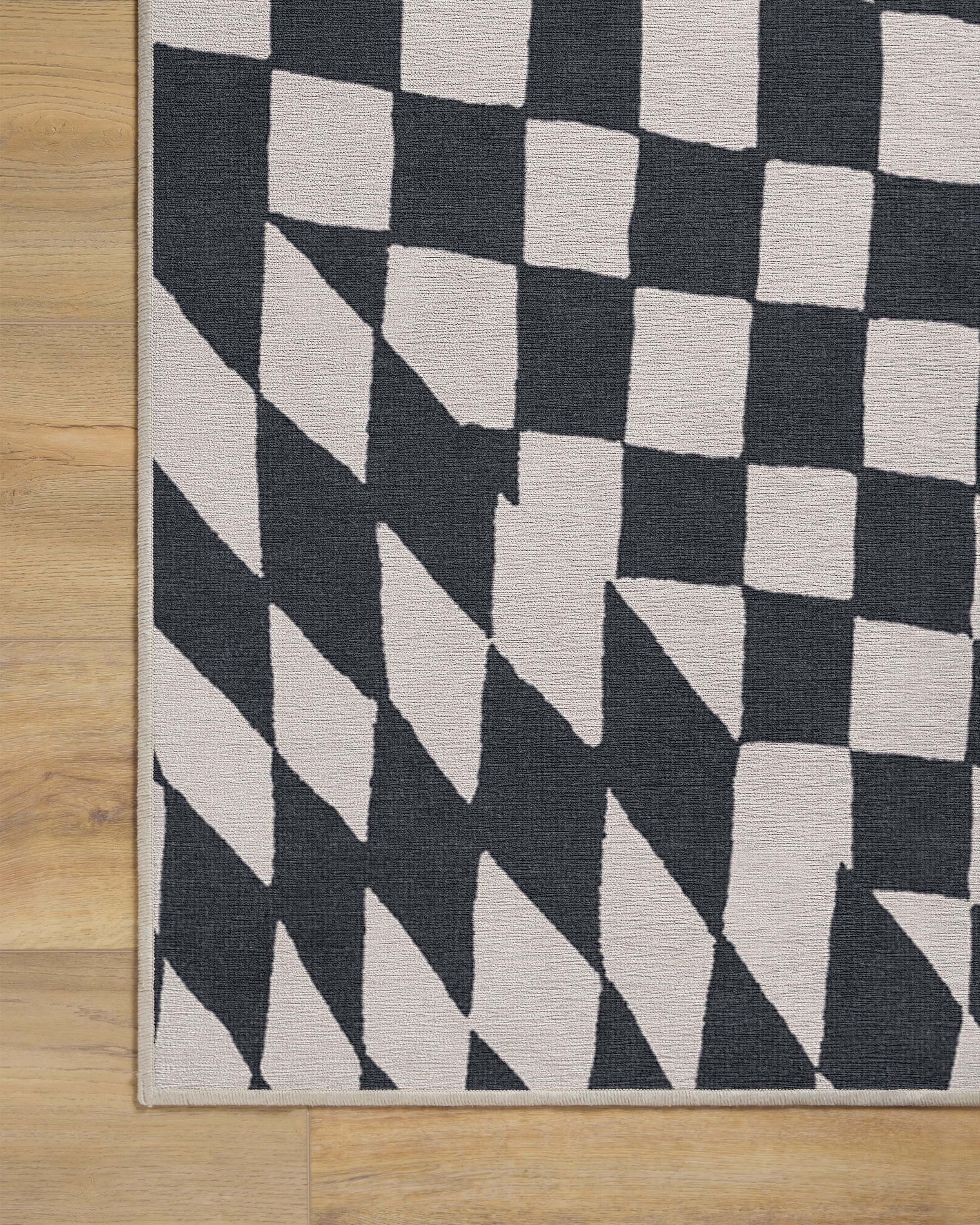 Ricardo Checkerboard Ivory & Black Flatwoven Rug by Humberto Leon - Image 11