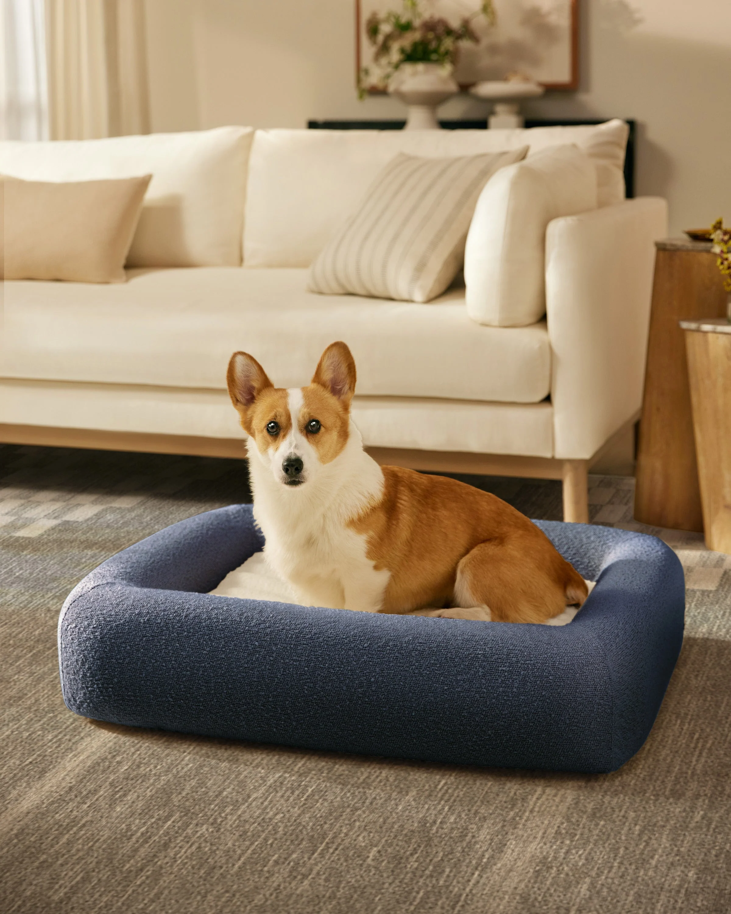 Navy Boucle Bolster Pet Bed - Image 6