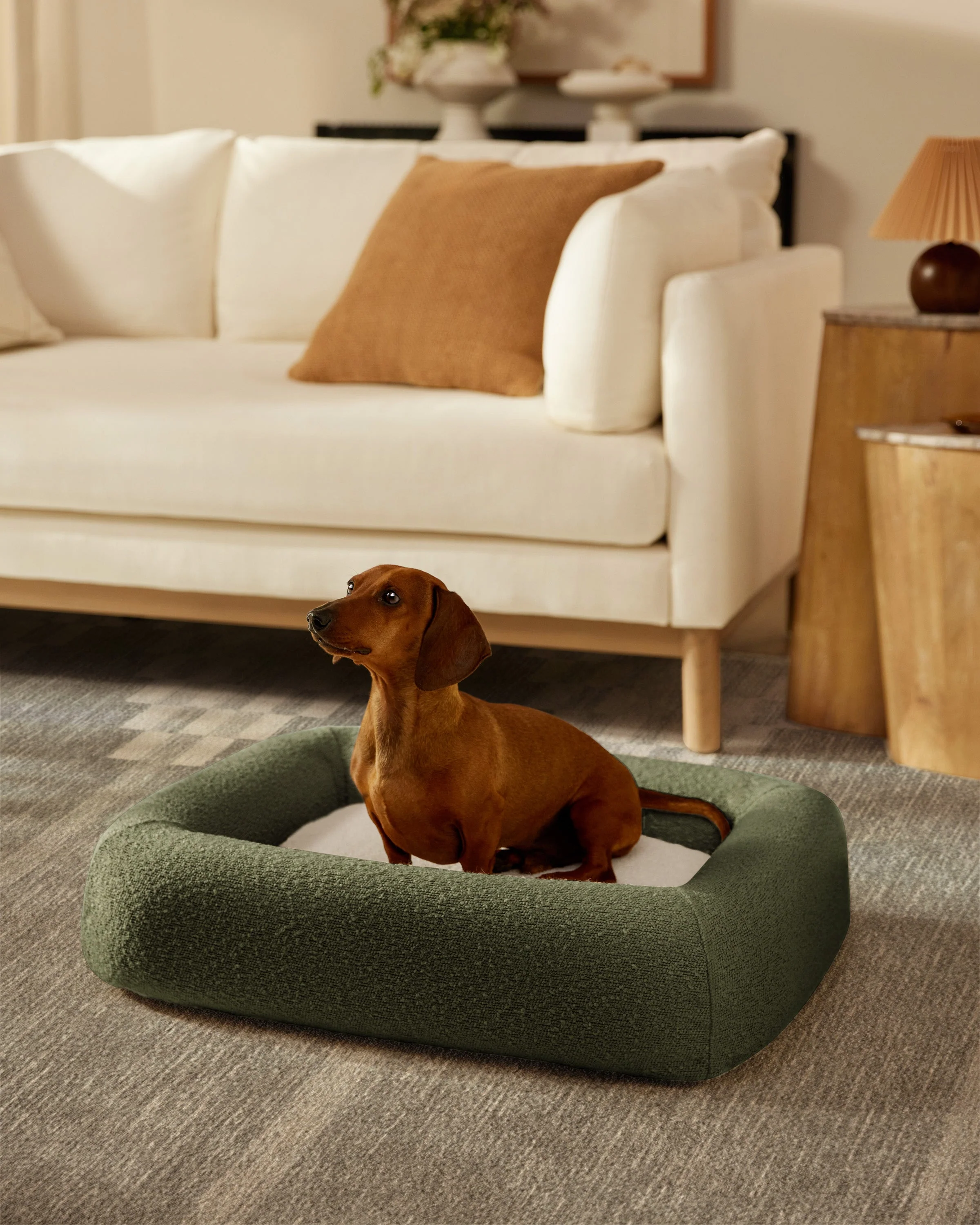 Olive Green Boucle Bolster Pet Bed - Image 5