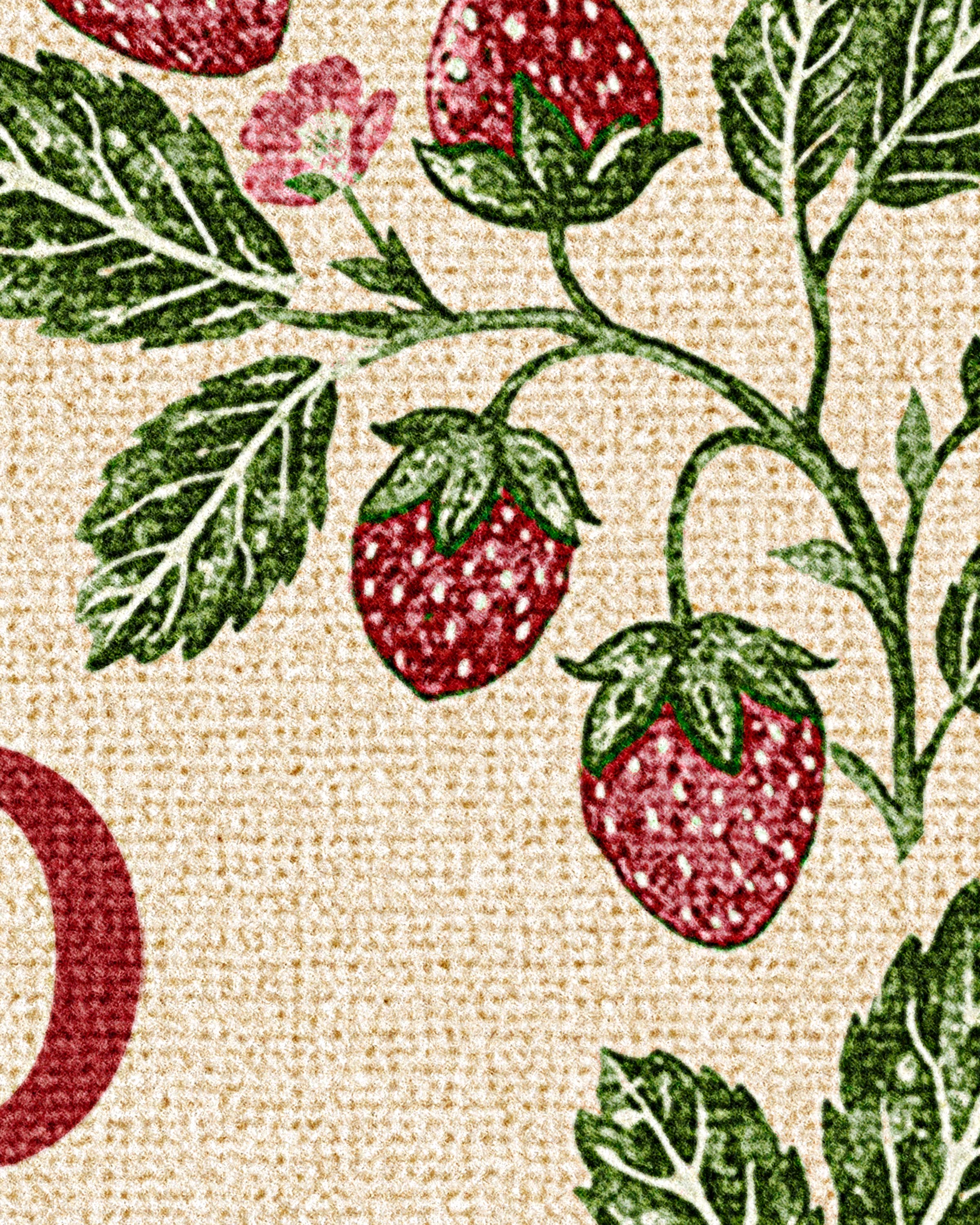Strawberry Vine Hello Large Doormat - Image 2